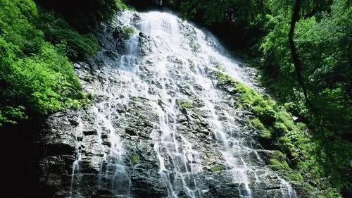 数字化环保高端